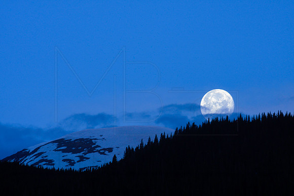 Good Morning Moon