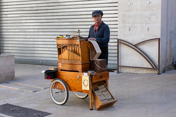 Avignon - street musician