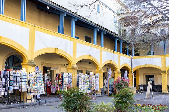 Arles - Art stalls in Van Gogh's garden